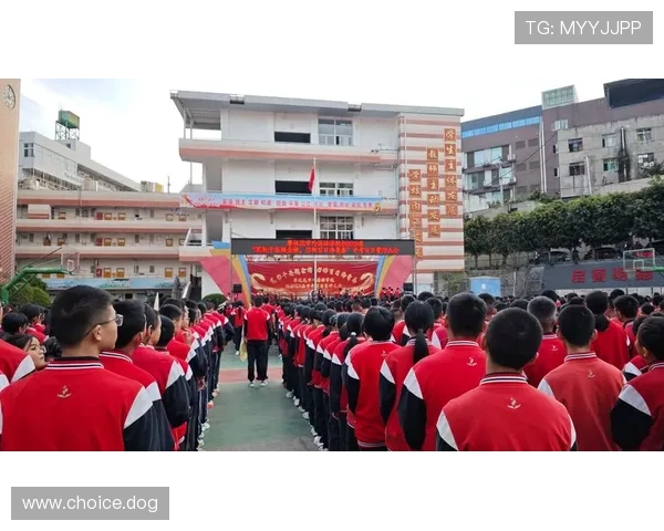 金榜时代：辉煌荣耀与青春梦想的绽放
